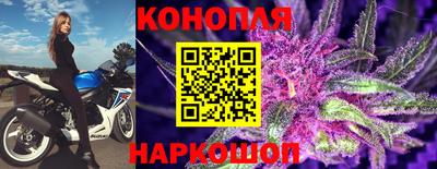 apvp Краснознаменск